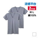 【クーポン10%OFF】涼感平台 夏ひんやり クールコート加工 綿100% 半袖V首 インナー Tシャツ 2枚組 グンゼ GUNZE | メンズ 男性 紳士 v...