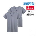 涼感平台 夏ひんやり クールコート加工 綿100% 半袖V首 インナー Tシャツ 2枚組 グンゼ GUNZE涼感平台 夏ひんやり クールコート加工 綿100% 半袖V首 インナー Tシャツ 2枚組 グンゼ GUNZE【商品情報】●商品管理番号：RB4715A●商品説明クールコート加工でひんやり冷たく、綿100％で肌にも優しいインナーです。●商品特性：V首・フライス・クールコート加工●素材：綿100％●サイズ：【M】【L】●メーカー：GUNZE（グンゼ）※実際の商品と画面上の色は異なる場合がありますので、ご了承ください。※サイズ表はこちら●男性下着・紳士肌着・メンズインナーメーカー希望小売価格はメーカーカタログに基づいて掲載しています●ラッピング無料（詳しくはこちら）　誕生日プレゼント・バースデープレゼント・クリスマスプレゼント　バレンタインデー・ホワイトデー・各種記念日・各種お祝い・父の日　母の日・敬老の日・彼氏や彼女への贈り物・ギフトや贈答品など　簡易的な包装紙のみになりますが対応致します。【はこぽす対応商品】【コンビニ受取対応商品】【楽天BOX受取対象商品】　「カッコよくて気持ちいい」がコンセプト♪ 　「着心地を感じる」インナーです♪ 　3つの「気持ちいい」が着心地のヒミツ♪ 　アウトドアなデザインのオシャレインナー♪