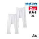 【クーポン10%OFF】送料無料 同色3組セット 計6枚 涼感平台 抗菌防臭 速乾フライス 半ズボン下 前あき インナー 2枚組 3Lサイズ グンゼ GUNZE...