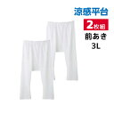 【クーポン10%OFF】涼感平台 抗菌防臭 速乾フライス 半ズボン下 前あき インナー 2枚組 3Lサイズ グンゼ GUNZE | 大きいサイズ 3l メンズ ...