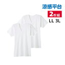 【クーポン10%OFF】涼感平台 抗菌防臭 速乾フライス 半袖V首 インナー Tシャツ 2枚組 LLサイズ 3Lサイズ グンゼ GUNZE | 大きいサイズ メ...
