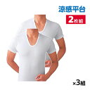 送料無料 同色3組セット 計6枚 涼感平台 吸汗速乾 冷感天竺 半袖U首 Tシャツ インナー 2枚組 グンゼ GUNZE | メンズ 男性 紳士 uネック u首...