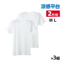 【クーポン10%OFF】送料無料 同色3組セット 計6枚 涼感平台 抗菌防臭 鹿の子 半袖丸首 インナー Tシャツ 2枚組 グンゼ GUNZE | メンズ 男性...
