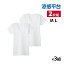 【クーポン10%OFF】送料無料 同色3組セット 計6枚 涼感平台 抗菌防臭 鹿の子 半袖V首 インナー Tシャツ 2枚組 グンゼ GUNZE | メンズ 男性...