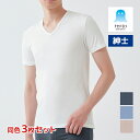 【クーポン10%OFF】送料無料 同色3枚セット アセドロン VネックTシャツ 男性 メンズ オールシーズン グンゼ GUNZE | カットソー tシャツ イン...