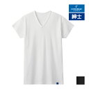 COOLMAGIC クールマジック 100%天然冷感 汗取り付きVネックTシャツ 短袖 綿100% 日本製 男性 グンゼ GUNZE | tシャツ 冷感 インナー シャツ 袖 短い 汗対策 汗取りインナー 汗取り 脇汗 脇汗パッド 汗取りパッド 脇汗パット 涼感 夏用 クール 涼しい 半袖 ひんやり メンズ