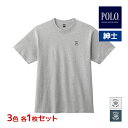 【クーポン10%OFF】3色1枚ずつ 送料無料3枚セット POLO ポロ クルーネックTシャツ 男性 グンゼ GUNZE | tシャツ 半袖 カットソー メンズ...
