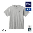 送料無料 同色3枚セット POLO ポロ クルーネックTシャツ 男性 グンゼ GUNZE | tシャツ 半袖 カットソー メンズ 半袖丸首 紳士 シャツ 白T ...