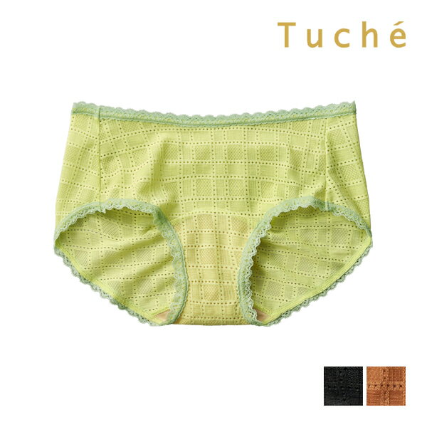 トゥシェ　ランジェリー Tuche トゥシェ ナチュラル感ブラ ハーフショーツ ペアショーツ 女性 グンゼ GUNZE | ショーツ パンツ パンティ かわいい おしゃれ 可愛い レース パンティー 下着 レディース レディースショーツ レディースパンティ 下着パンツ 透け ランジェリー かわいいショーツ 透け感