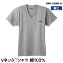 50%OFF COMME CI COMME CA コムシコムサ VネックTシャツ 綿100% 紳士 セール SALE グンゼ GUNZE | tシャツ ティーシ...