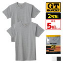 送料無料5組セット 計10枚 G.T.HAWKINS ホーキンス クルーネック Tシャツ 2枚組 メンズ 男性 グンゼ GUNZE | まとめ買い tシャツ インナー 半袖 旦那 夫 綿シャツ 肌着 綿100% カットソー シャツ 丸首 紳士肌着 白 黒 グレー 綿 コットン メンズインナーシャツ 男性肌着 無地(4)