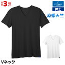送料無料 同色3枚セット COOLMAGIC クールマジック 吸汗天竺 VネックTシャツ 男性 グンゼ GUNZE | 涼しい tシャツ メンズ 半袖 カットソー 冷感インナー シャツ ティーシャツ 涼しい 夏 肌着 ひんやり インナー インナーシャツ ビジネス 白tシャツ vネック 黒 夏用 速乾