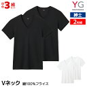 【クーポン10%OFF】送料無料 同色3組セット 計6枚 YG ワイジー VネックTシャツ 2枚組 綿100%フライス 紳士 グンゼ GUNZE | tシャツ ...