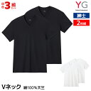 【クーポン10%OFF】送料無料 同色3組セット 計6枚 YG ワイジー VネックTシャツ 2枚組 綿100% 天竺 紳士 グンゼ GUNZE | tシャツ 半...