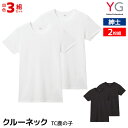 【クーポン10%OFF】送料無料 同色3組セット 計6枚 YG ワイジー クルーネックTシャツ 2枚組 TC鹿の子 紳士 グンゼ GUNZE | tシャツ 半袖...