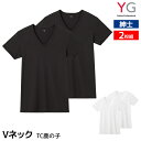 【クーポン10%OFF】YG ワイジー VネックTシャツ 2枚組 TC鹿の子 紳士 グンゼ GUNZE | tシャツ 半袖 カットソー シャツ ティーシャツ イ...