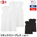 【クーポン10%OFF】送料無料 同色3組セット 計6枚 YG ワイジー Vネックスリーブレスシャツ 2枚組 TC鹿の子 紳士 グンゼ GUNZE | スリーブ...