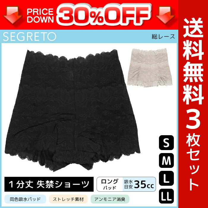 30%OFF 送料無料3枚セット SEGRETO セグレート 総レース 尿漏れパンツ ロングパッド 約35cc吸水 女性用 レディース 尿漏れショーツ 失禁ショーツ 失禁パンツ|大きいサイズ サニタリーパンツ サニタリーショーツ 尿もれ かわいい 産後 尿もれパンツ 女性 パンツ 尿漏れ 訳あり