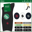 POLO ポロ スクール キッズソックス 男女兼用 子供用 レギュラー丈 グンゼ GUNZE くつ下 靴下 キッズ ソックス スクールソックス 学生ソックス 女の子 男の子 子ども こども ジュニア ワンポイント 白 黒 白ソックス 黒ソックス 紺 通学 学校 男児 女児 学生 抗菌 防臭