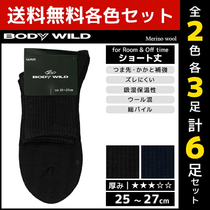 2色3足ずつ 送料無料6足セット BODYWILD ボディワイルド メリノウール メンズソックス 靴下 グンゼ GUNZE | ボディーワイルド body wild メンズ 男性 紳士 くつした ソックス メンズ靴下 ルームソックス ルーム あったか靴下 冷えとり靴下 冷え取り靴下 暖かい 防寒 丈夫