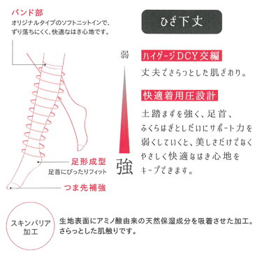 IFFI イフィー ショートストッキング ひざ下丈 くちゴムゆったりタイプ グンゼ GUNZE パンティストッキング パンスト | ストッキング 着圧ストッキング パンティーストッキング 着圧パンスト ショート レディース 着圧 結婚式 インナー アンダーウェア 肌着