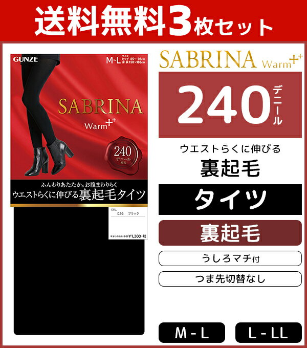 送料無料3枚セット SABRINA サブリナ ウォームプラス 240デニール 裏起毛タイツ 防寒 温感 裏起毛 グンゼ GUNZE まとめ買い | レディース タイツ 黒タイツ あったか インナー 黒 厚手 冬 女性 あったかタイツ マチ付 防寒対策 寒さ対策 あったかグッズ 冷え対策 厚手タイツ