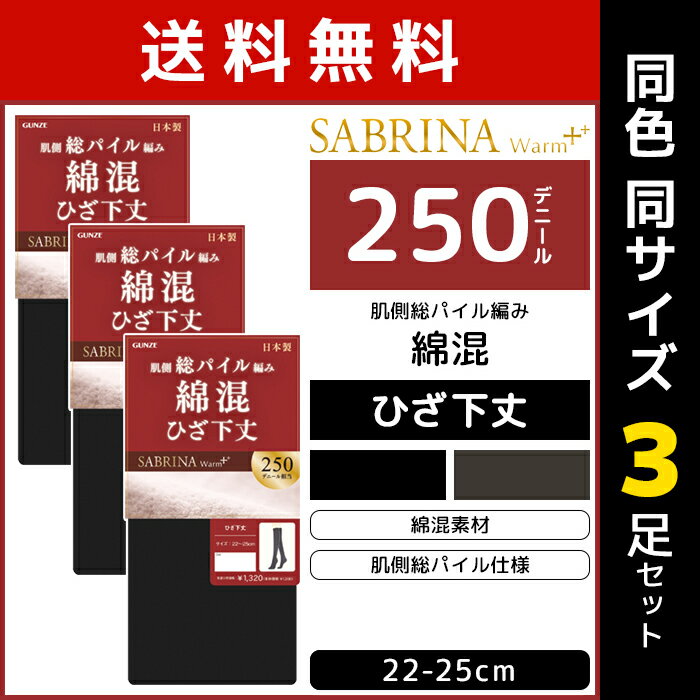  F3Zbg SABRINA Tui EH[vX 250fj[ Ђ ^Cc \bNX ȍ O[ GUNZE | C  V[g^Cc G Ђ V[g h fB[X     g ₦ƂC ₦C ~ [\bNX