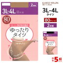 【11/25限定★最大300%ポイントバック!要エントリー】送料無料 同色5組セット 計10足 ゆったりタイツ 80デニール 3L-4L 2足組 大きいサイズ ...