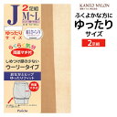 【5日限定エントリーで最大100%ポイントバック】大きいサイズ らくらく気分 2足組 JM-L ゆったりサイズ パンスト ストッキング 関東ナイロン | パンテ...
