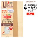 【5日限定エントリーで最大100%ポイントバック】大きいサイズ らくらく気分 2足組 JJM-L ゆったりサイズ パンスト ストッキング 関東ナイロン |パンテ...