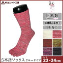 【クーポン10%OFF】杉山ニット工業 彩 いろどり レディースソックス 5本指