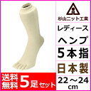 送料無料5足セット 杉山ニット工業 EMソックス ヘンプ ナ...