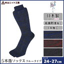 【クーポン10%OFF】杉山ニット工業 彩 いろどり メンズソックス 5本指