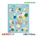 【クーポン10%OFF】送料無料 同柄3枚セット 丸眞 ジブリ となりのトトロ お昼寝ケット タオルケット 子供 赤ちゃん | お昼寝タオル お昼寝ケット 幼稚...