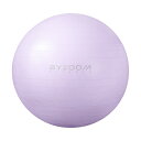 バランスボール ジムボール ヨガボール 【BYZOOM FITNESS】 正規品 バイズーム モーションズ