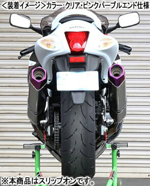 BEET NASSERT Evolution Type-II (クリア・ピンクパープルエンド)/GSX1300R ハヤブサ(14) 0222-S38-CP