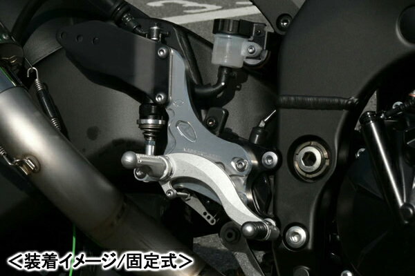 BEET ハイパーバンク（シルバー/固定式）/ZX-10R（06-08） 0111-K93-20