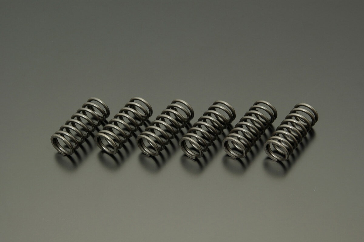 Rakuten - ADVANTAGE ADVANTAGE強化クラッチスプリング for Standard Model/GSX-1300R HAYABUSA（08-16年）・B-KING 094-S0249-06