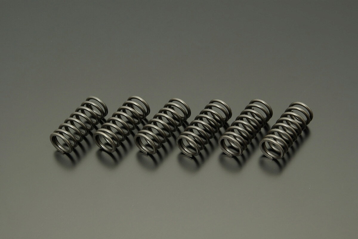 Rakuten - ADVANTAGE ADVANTAGE強化クラッチスプリング for Standard Model/GOOSE350・GOOSE250・DR350S・DR250S 094-S0344-06