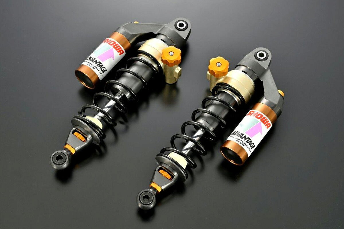 ADVANTAGE ADVANTAGE SHOWA RS-γ リアサスペンション（油圧イニシャルアジャスター）/Monkey125（18-23年）ダウンタイプマフラー対応 621-H006-RGB
