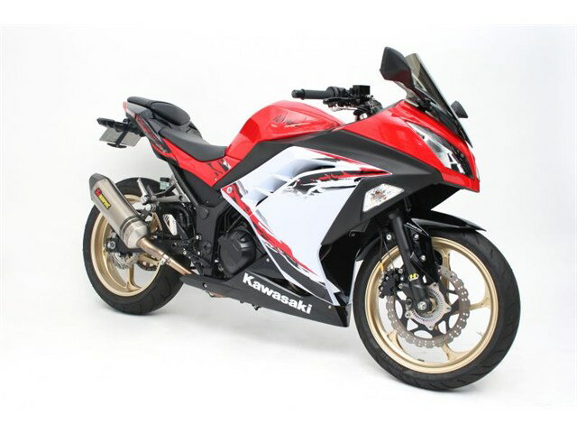 GALE SPEED �����ƥ��� F 300-17 GLD [TYPE-GP1S G������] ����ϥ� NINJA250 13-17(ABS�ִޤ�)/Z250 ...