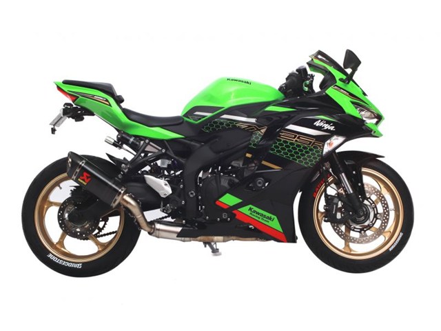 GALE SPEED �����ƥ��� R 550-17 GLD [TYPE-GP1S G������] ZX-25R/SE 20-25/ZX-4RR/SE 23-25 (...