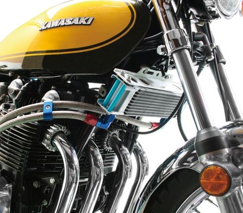 ACTIVE �����ƥ��� �����륯���顼���å� (�����ɲ���) ���ȥ졼�� #8 9-10R [�������б����å�] AC14067210C