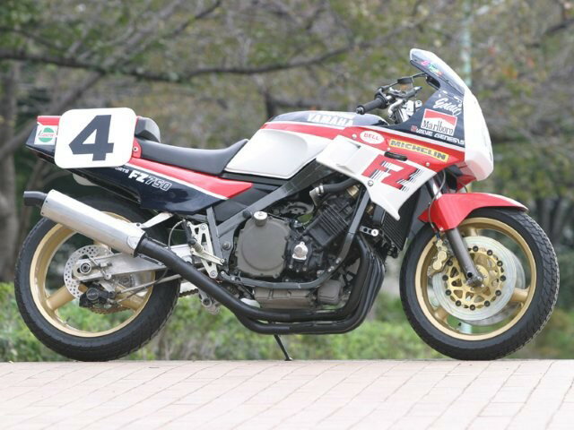 ADVANTAGE ���ɥХ�ơ��� ��������å����ץ�� for Standard Model FZ750(�����ǥ�) 094-Y0313-06