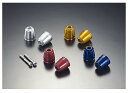 【抽選で最大100%ポイントバック】AGRAS アグラス YZF-R1 02-06 バーエンド ブラック 300-260-000BK