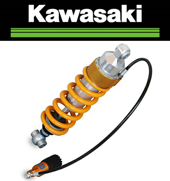 在庫有り 当日発送 Kawasaki 純正 OHLINS オーリンズ リアサスペンション シヨックアブソーバ OHLINS Kawasaki カワサキ Z900RS SE (22～) 450140711