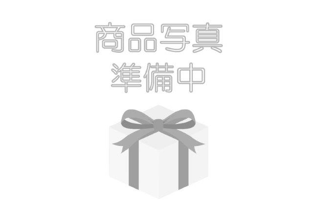 Ǻ100ݥȥХåYSS 磻 եȥե STREET TWIN 900 '16-'18 FORK UPGRADE 123-...