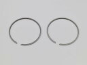 【抽選で最大100%ポイントバック】DAYTONA デイトナ ピストンリング セット(STD)44mm(NSR50用ビッグボア)補修部品 13666