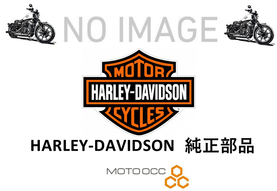 HARLEY-DAVIDSON ϡ졼ӥåɥ FF VIV BLK W/P/S 58900110DBH 58900110DBH
