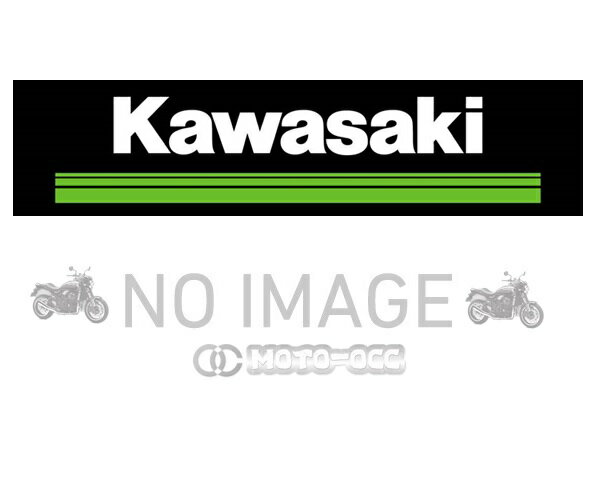 Kawasaki カワサキ 純正 Ninja 1000SX パニアケースストライプ(左右セット) J99994-0423-60R(エメラルドブレイズドグリーン)